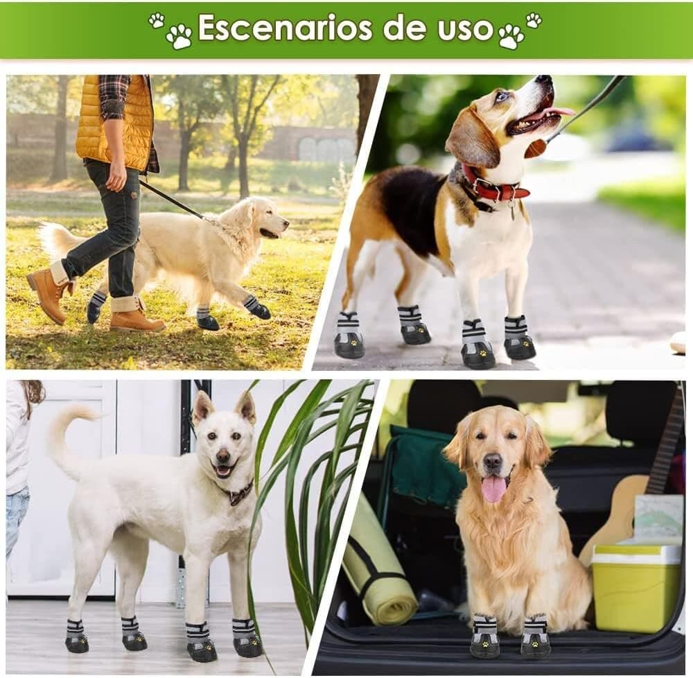 Dog Shoes — photo 6