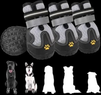 Dog Shoes