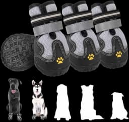 Dog Shoes — photo 1