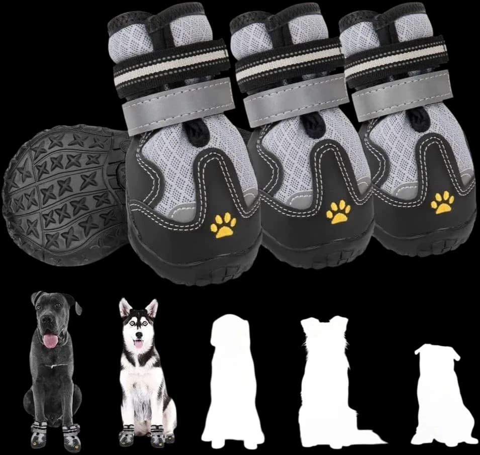 Dog Shoes