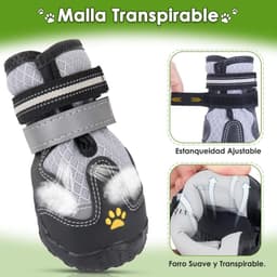 Dog Shoes — photo 4
