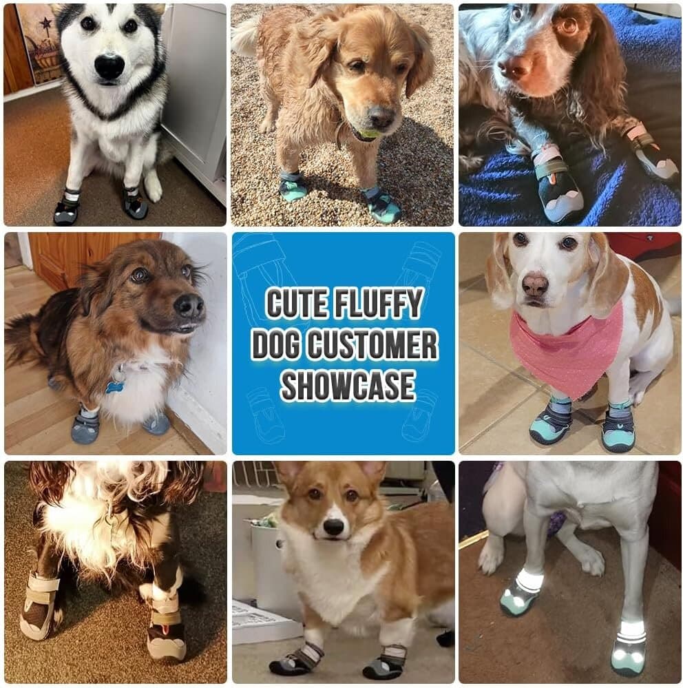 Dog Shoes 6