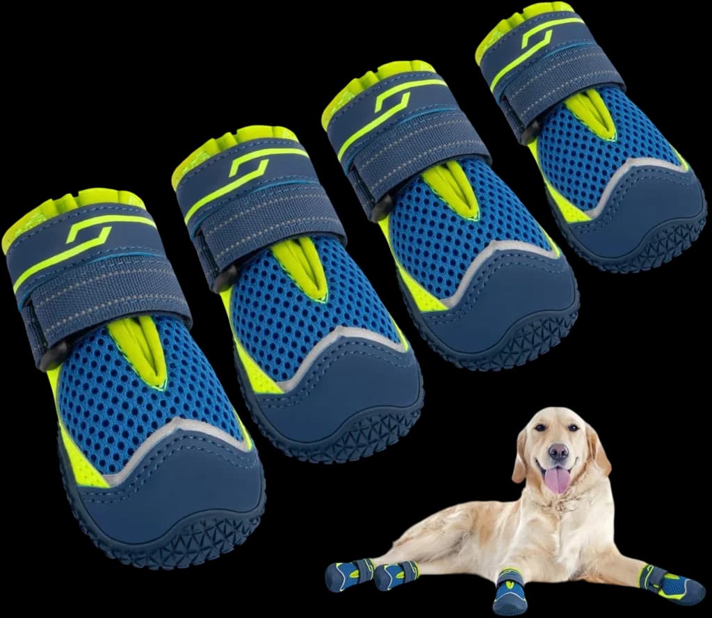 Dog Shoes 1