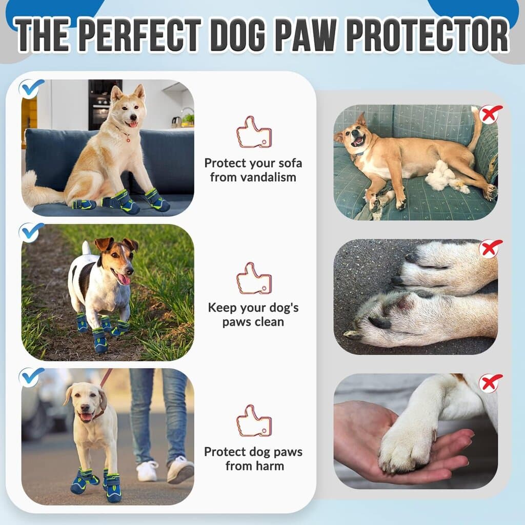 Dog Shoes 2