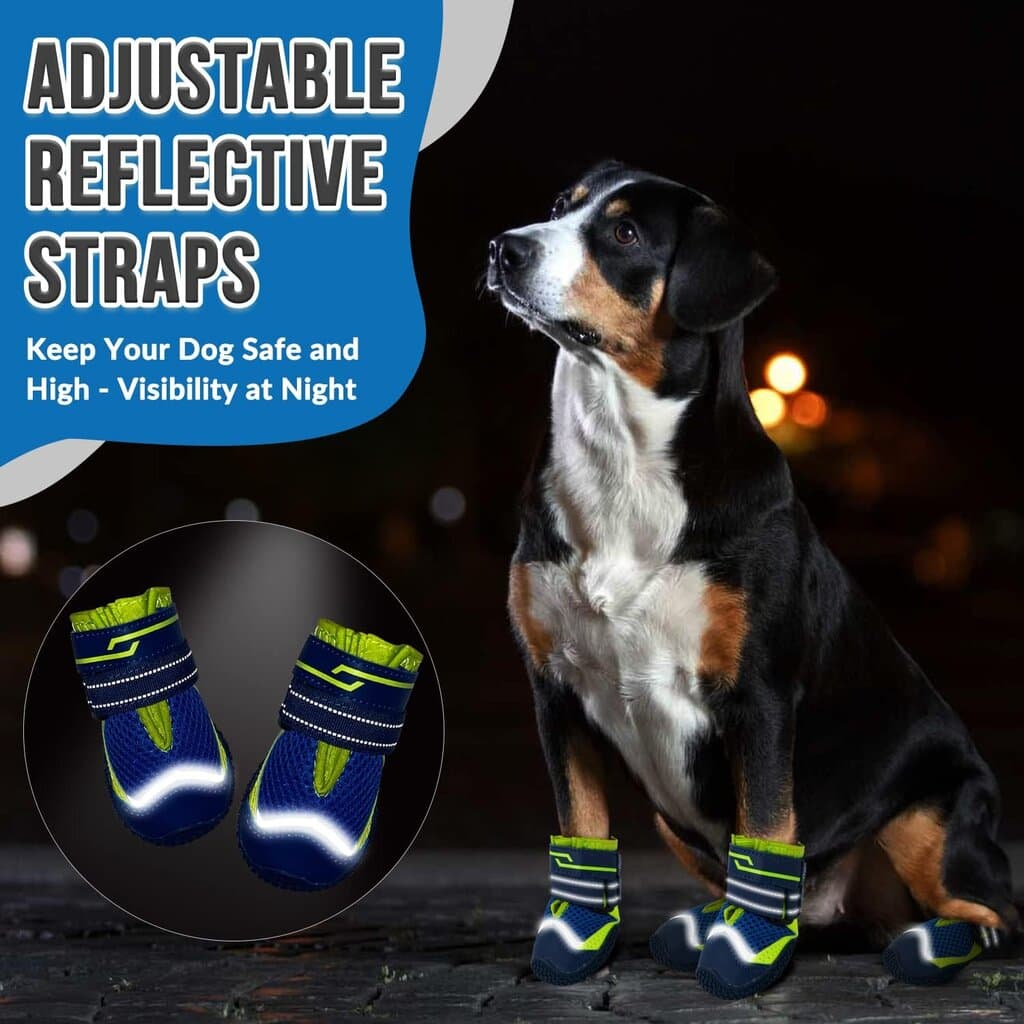 Dog Shoes 3
