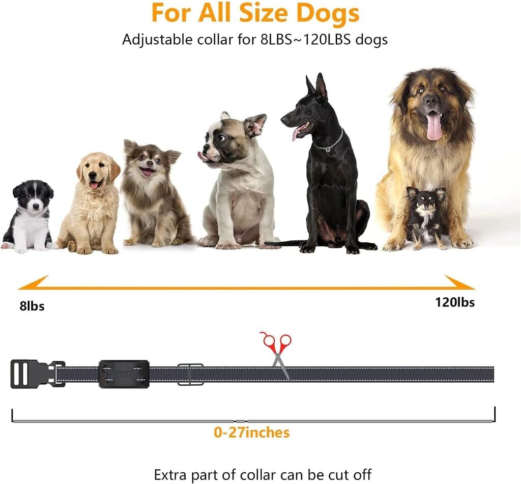 Dog Training Collar 6