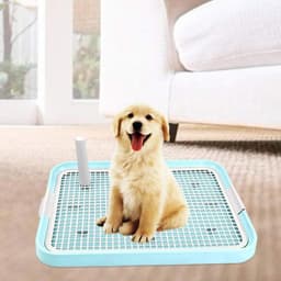 Dog Toilet — photo 2