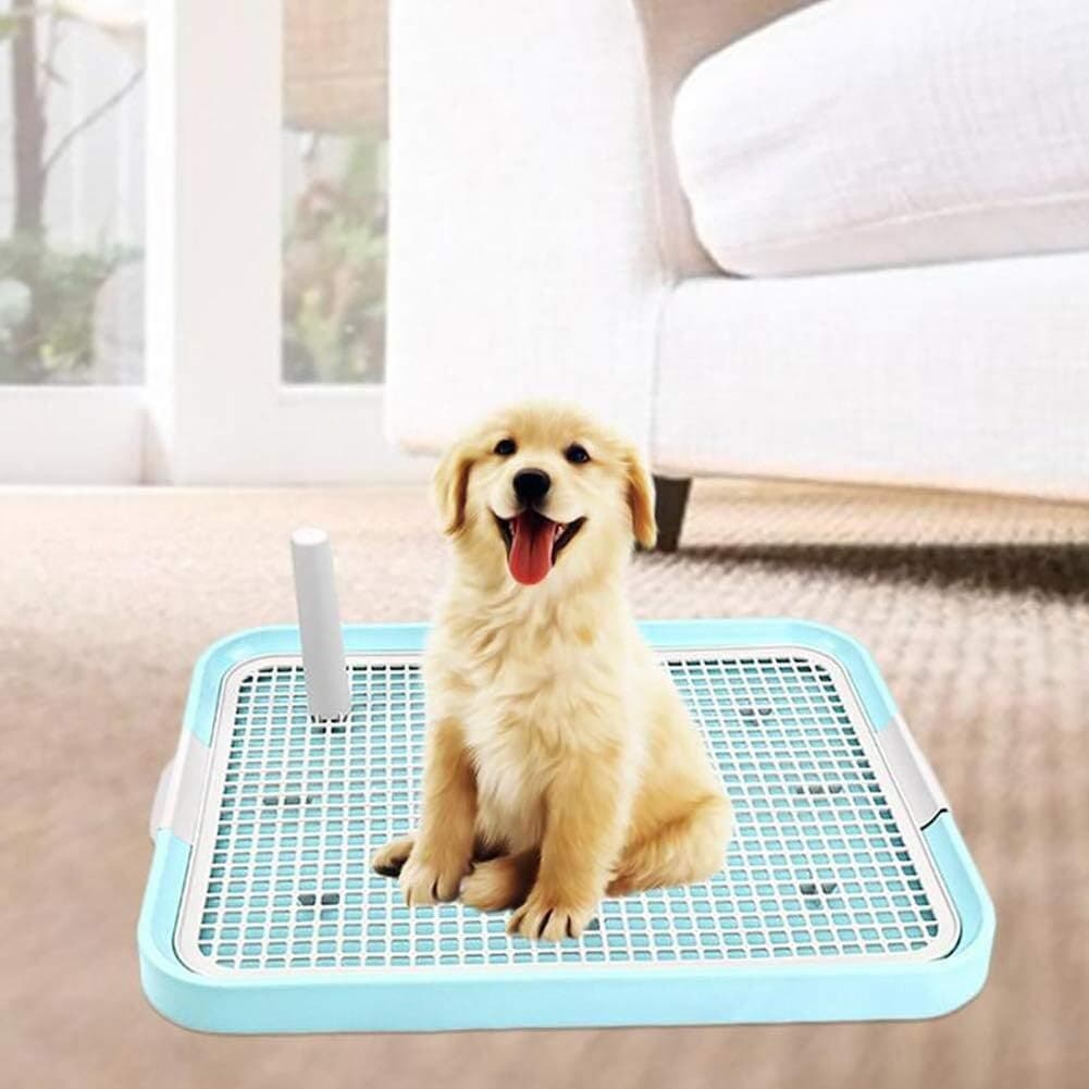 Dog Toilet — photo 2