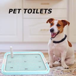 Dog Toilet — photo 3