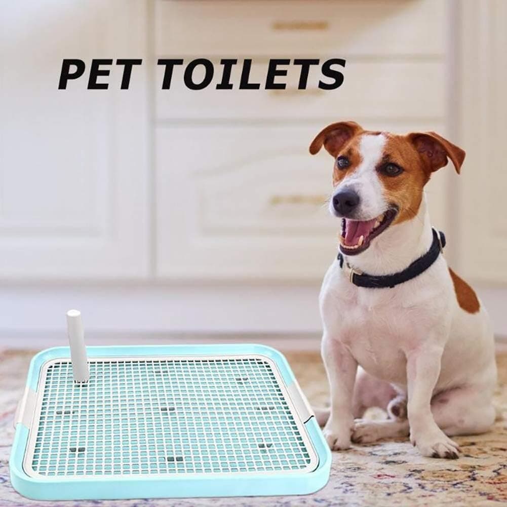 Dog Toilet — photo 3