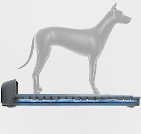 Dog Toilet - 60x55cm 8