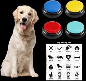 Learn Buttons For Dog