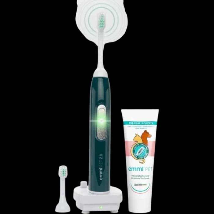 Electrical Tooth Brush 1