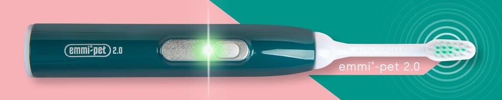 Electrical Tooth Brush 2