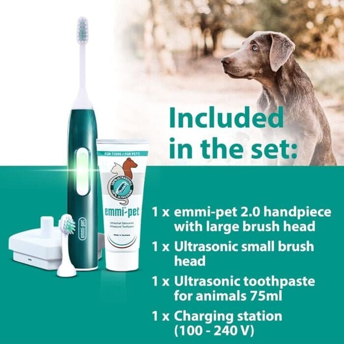 Electrical Tooth Brush 4