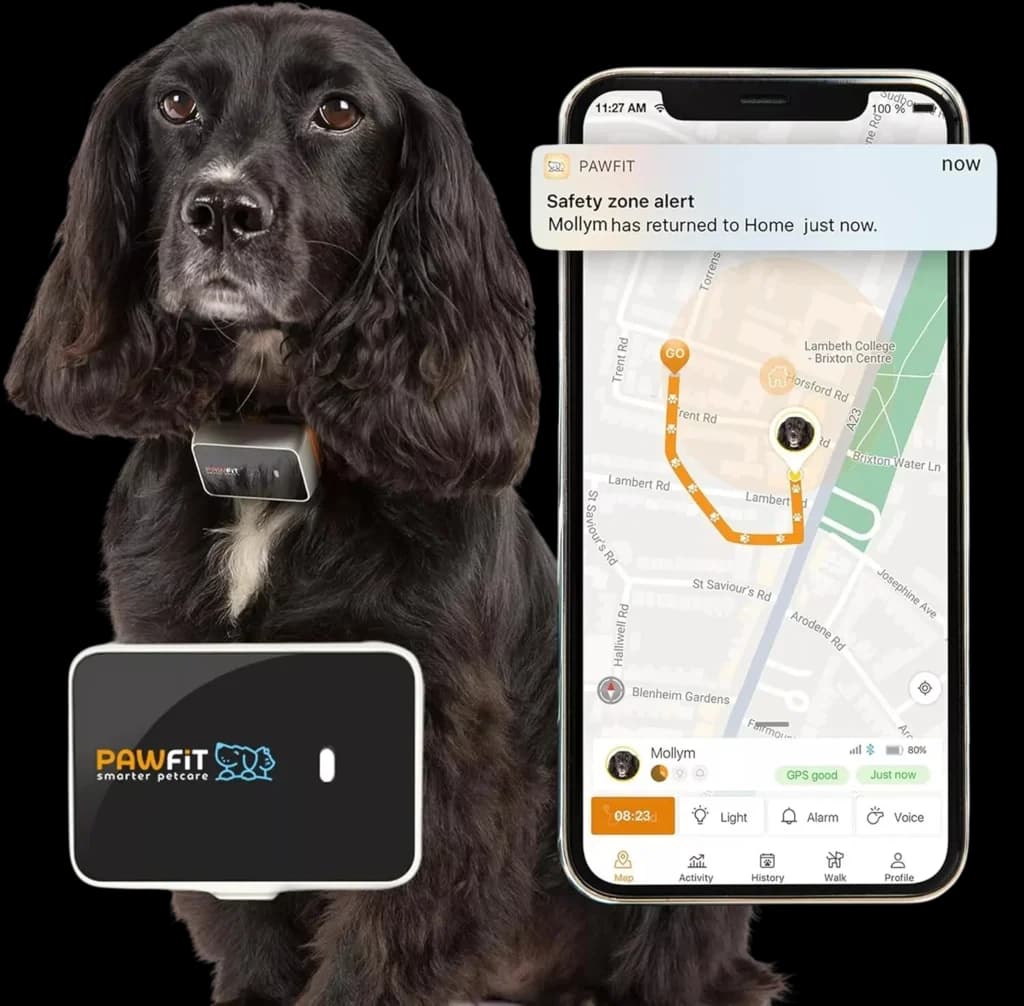 GPS Tracker - 1pcs 1