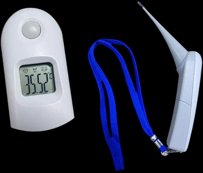 Thermometer 1