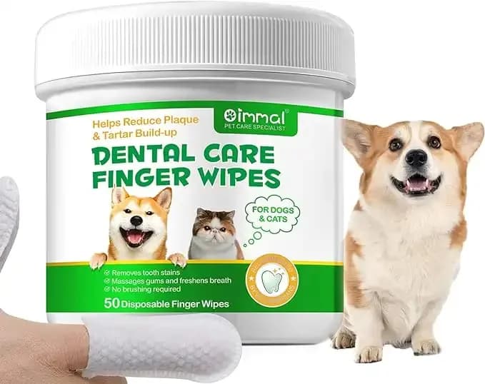 Oimmal Teeth  Cleansing Wipes - 50pcs 1