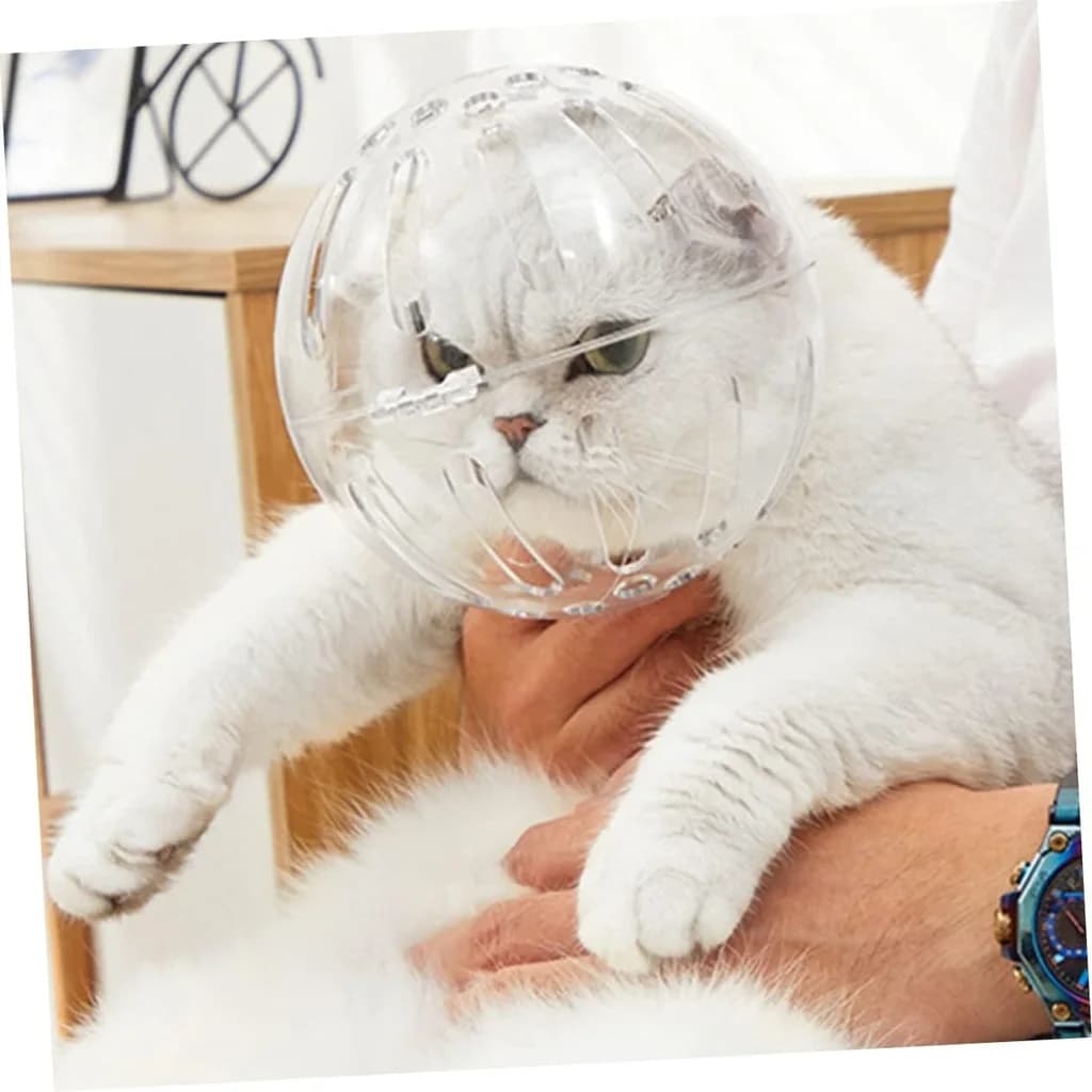 Space Hood Cat - L​ 1