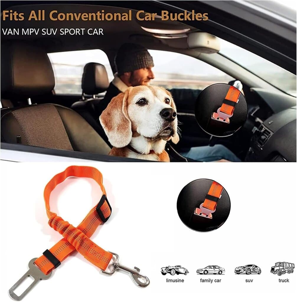 Dog Seat Belt 4