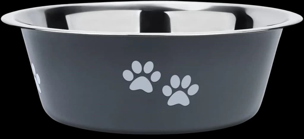 Steel Bowl 1
