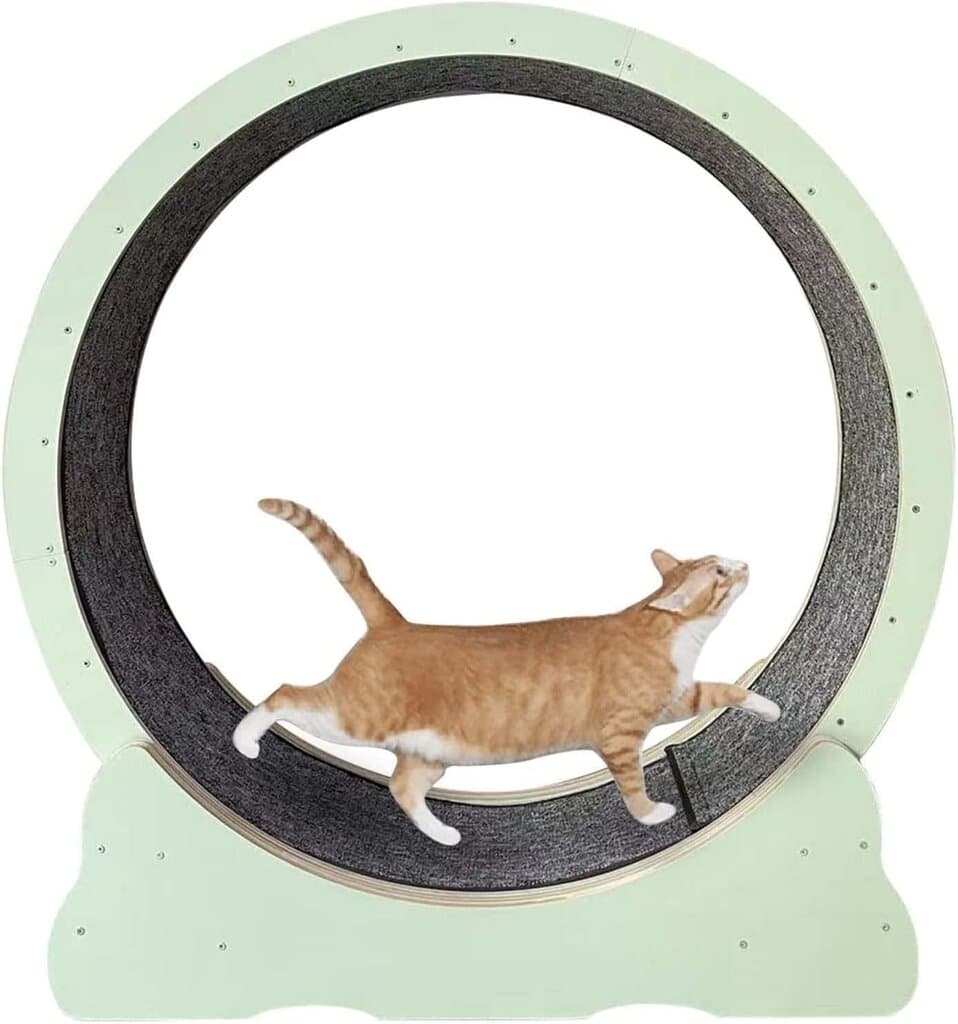 Cat Running Wheel - S 1