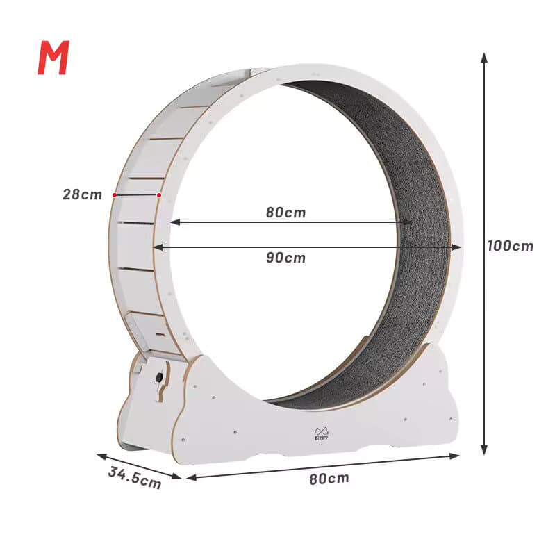 Cat Running Wheel - S 5