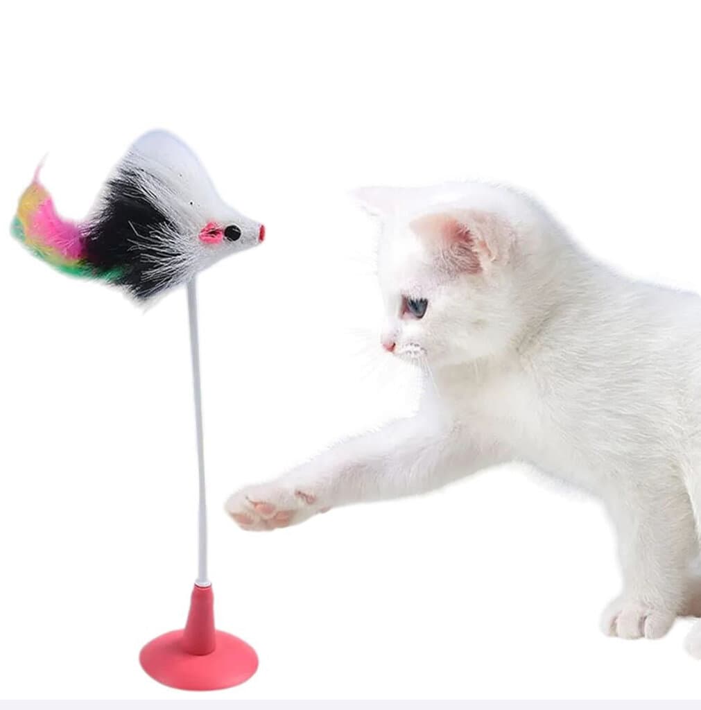 Cat Toy 1