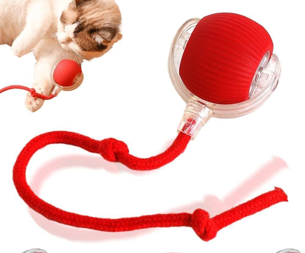 Interactive Cat Toy 1