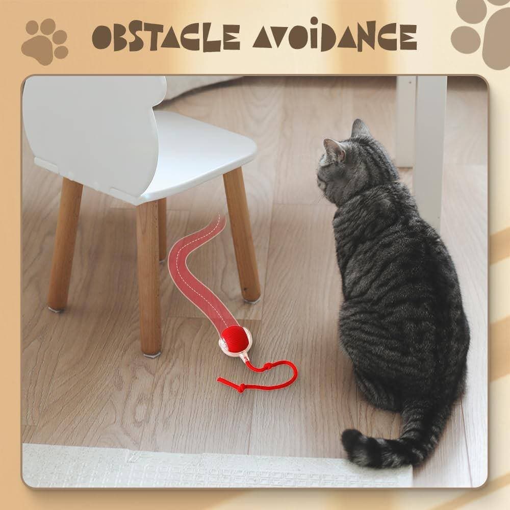 Interactive Cat Toy 2