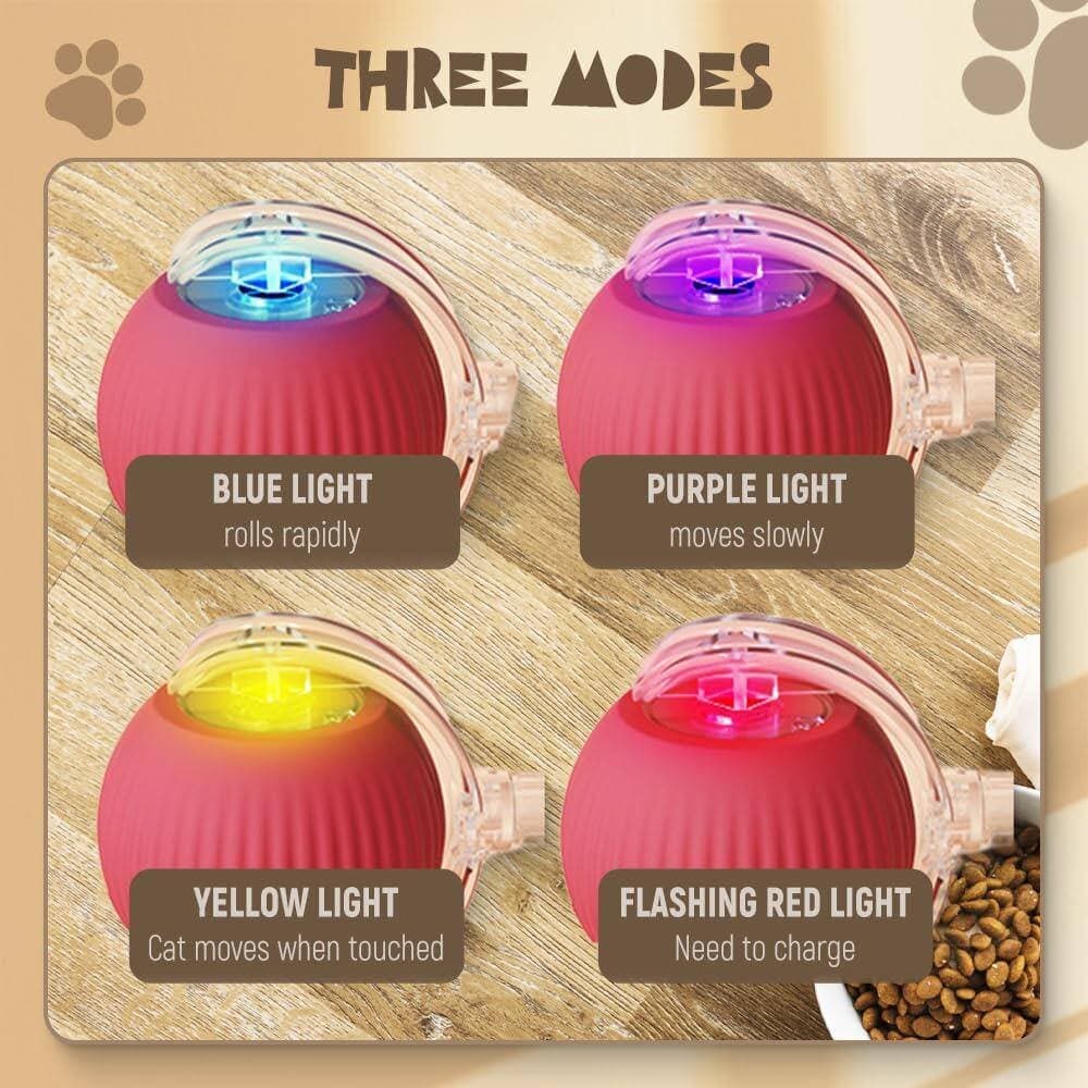 Interactive Cat Toy 5
