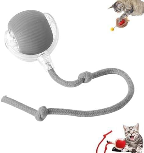 Interactive Cat Toy 1
