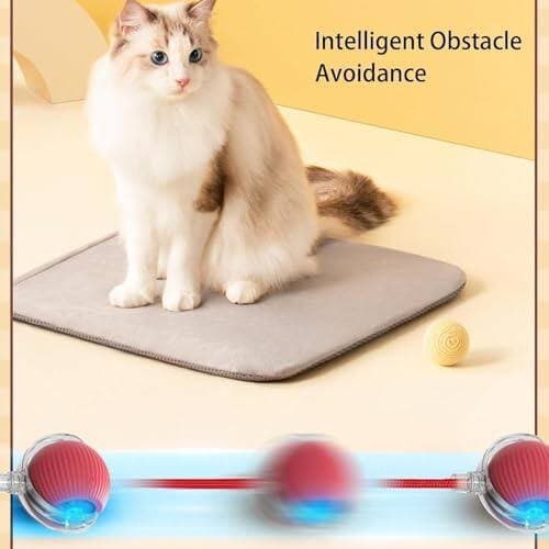 Interactive Cat Toy 2