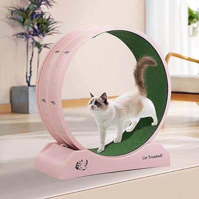 Cat Running Wheel - 85cm 5
