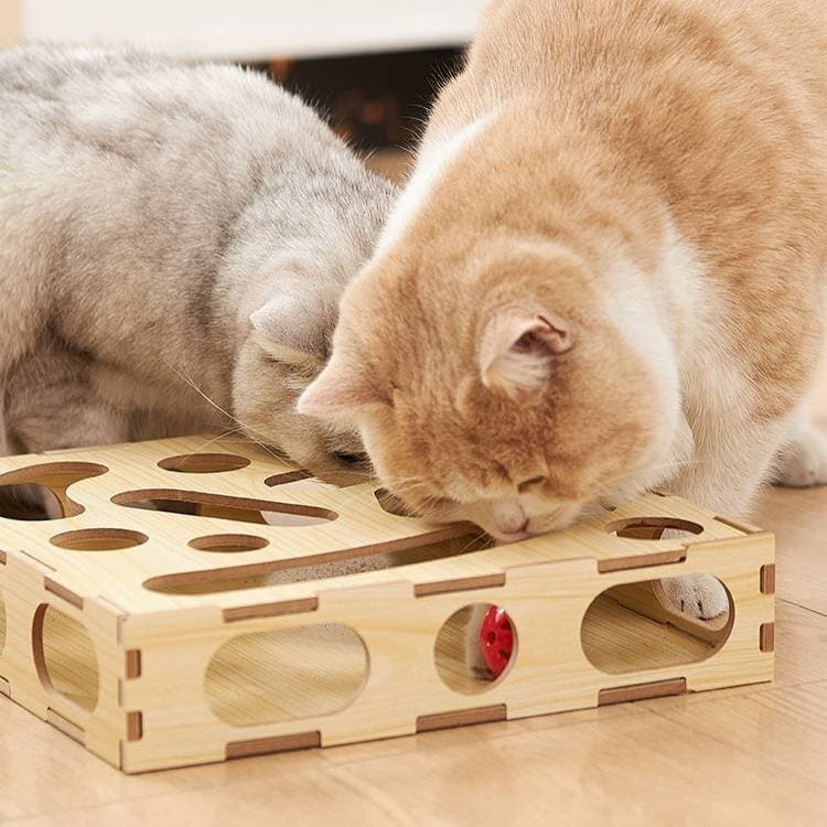 Wooden Cat Ball Toy 2