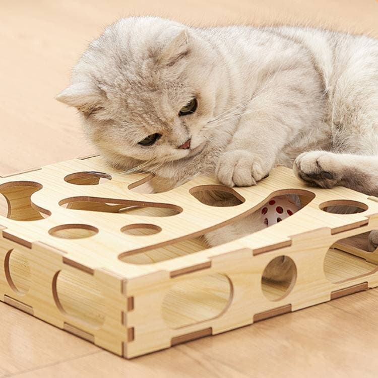 Wooden Cat Ball Toy 4
