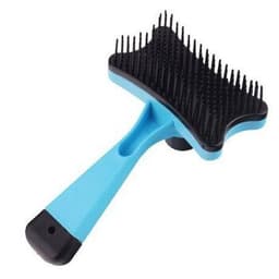 Light Blue/Black
