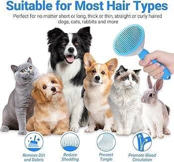 Shedding Brush 4