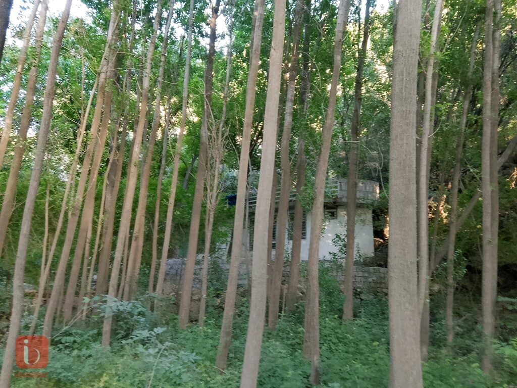 أرض سكنية للبيع في السلیمانیه قلعة دزة — photo 8