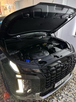 Hyundai Palisade 3.8 V6 4WD — photo 14