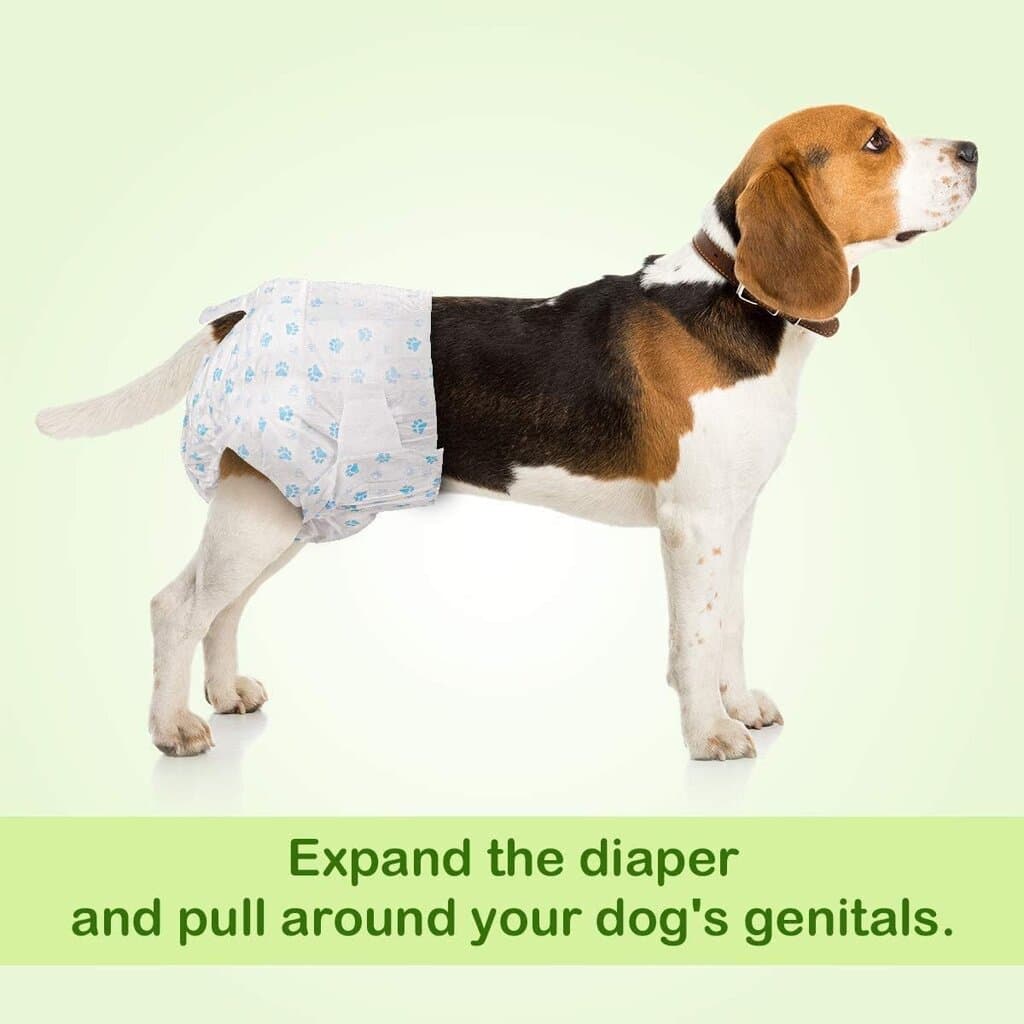 Pet Soft Female Diapers - XXS - 12x — photo 4