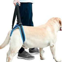 Dog Harness - M — photo 1