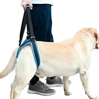 Dog Harness - M