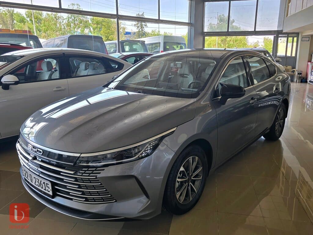 BYD Destroyer — photo 3