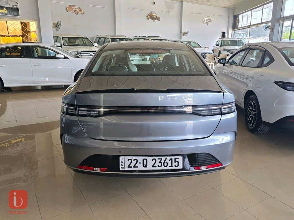 BYD Destroyer — photo 4
