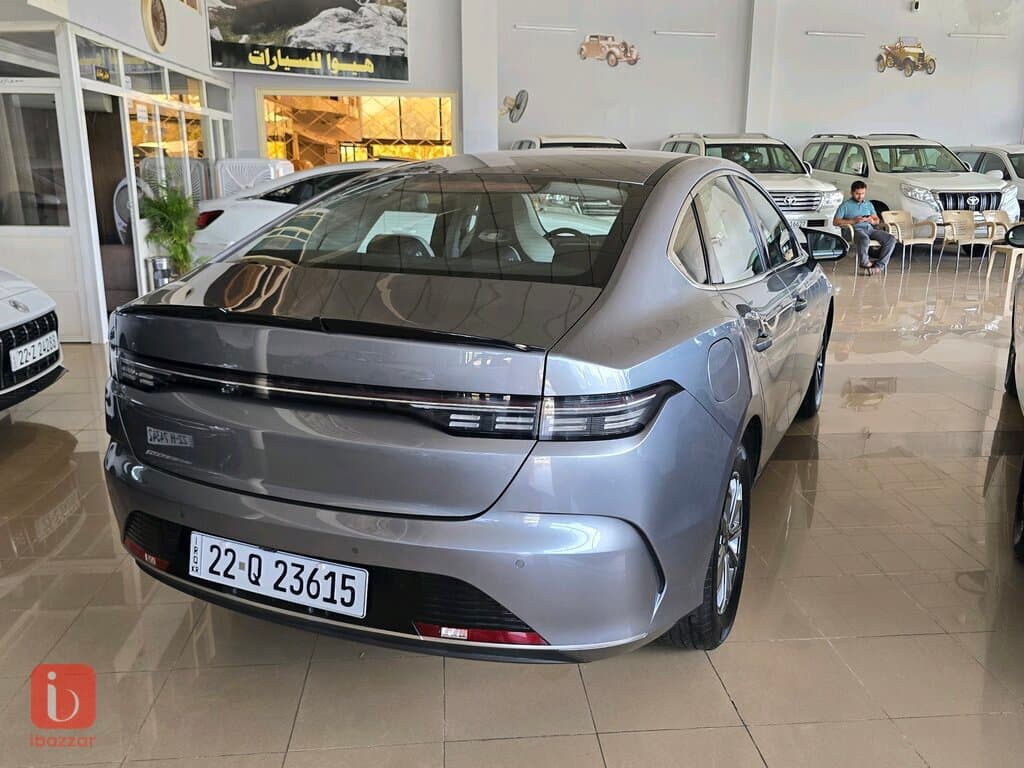 BYD Destroyer — photo 5