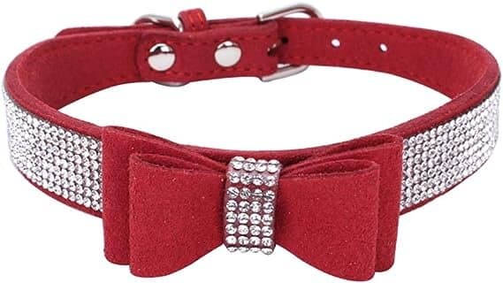 Collar - XS