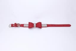 Collar - XS — photo 2