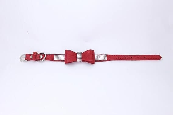 Collar - XS — photo 2