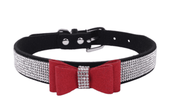Collar - XS